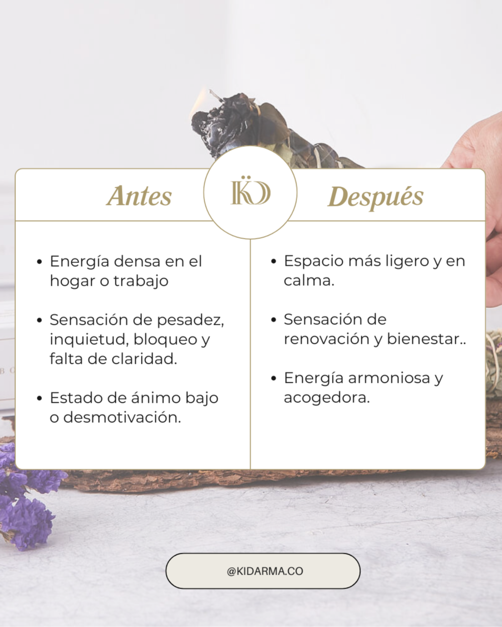 Bouquet herbal - Imagen 3